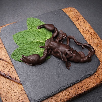 Chocolate-Dipped Insects