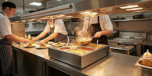 Choosing the Right Food Warmer