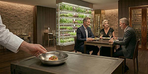 Restaurant Concept Development
