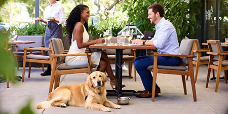 How to Make Your Restaurant Pet Friendly