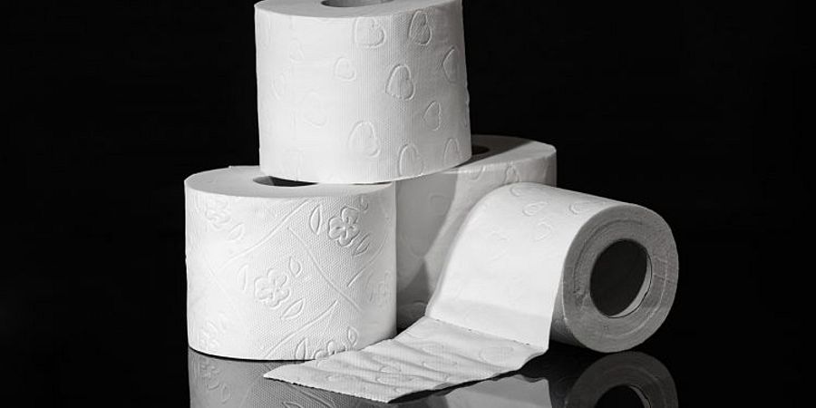 Types Of Toilet Paper Rolls