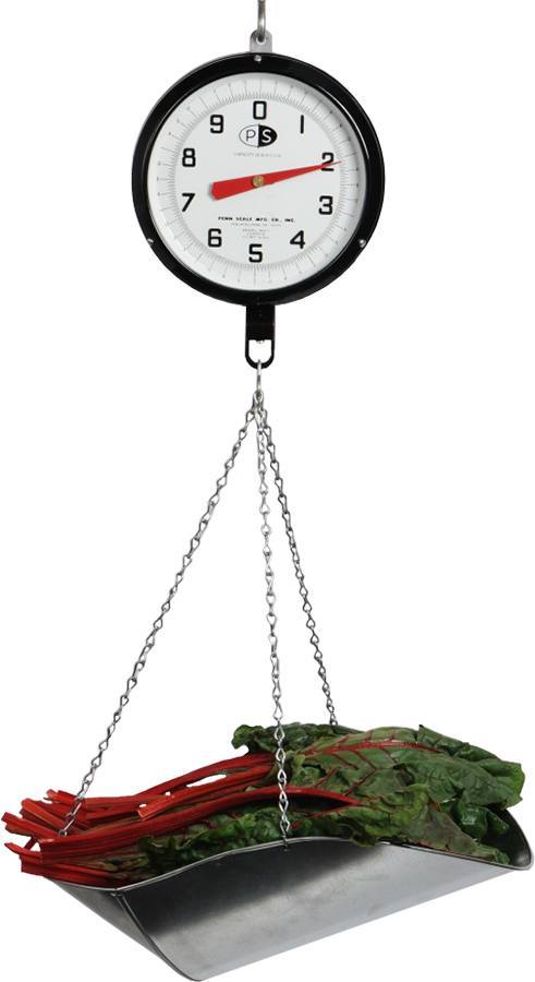 Penn Scale 820 V
