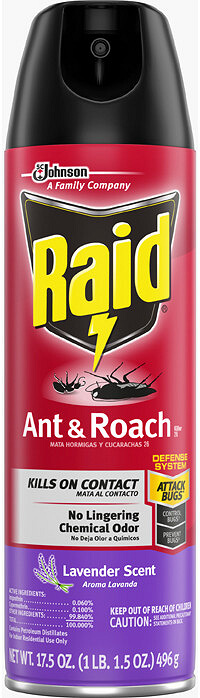 Raid 73963