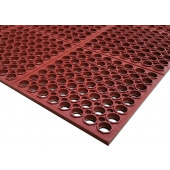 Cactus Mat 3525-R35
