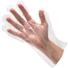 FMP Disposable Gloves