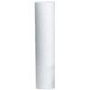 Everpure EC110 EV9534-12